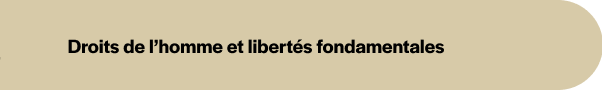 Droit de l'homme et des libertés fondamentales